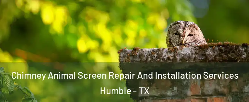  Chimney Animal Screen Repair And Installation Services Humble - TX