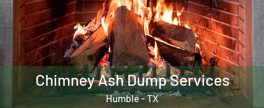  Chimney Ash Dump Services Humble - TX