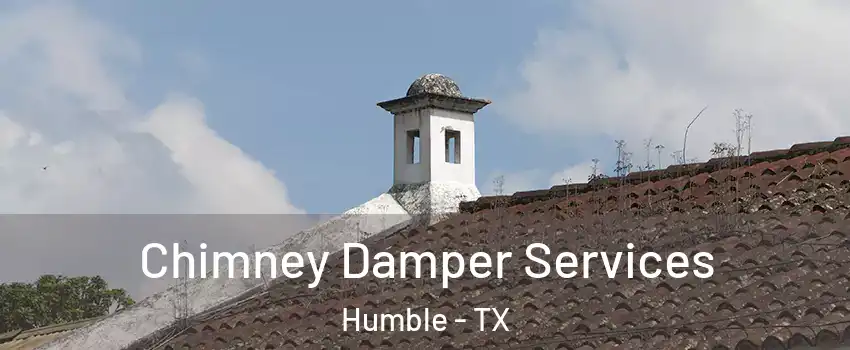  Chimney Damper Services Humble - TX