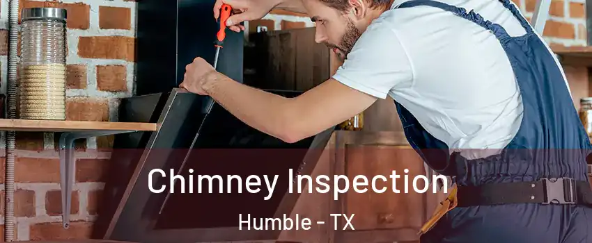  Chimney Inspection Humble - TX