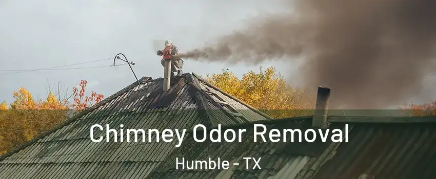  Chimney Odor Removal Humble - TX