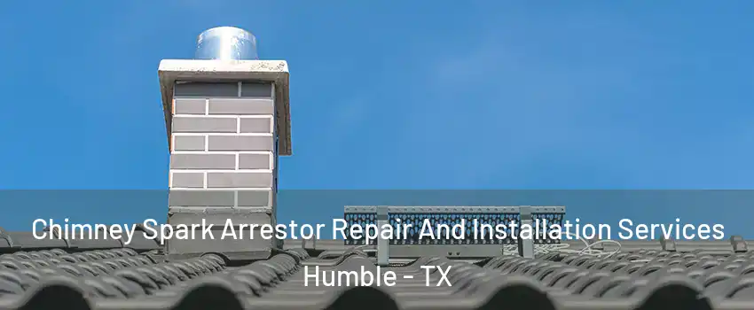  Chimney Spark Arrestor Repair And Installation Services Humble - TX