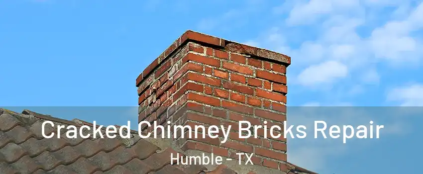  Cracked Chimney Bricks Repair Humble - TX