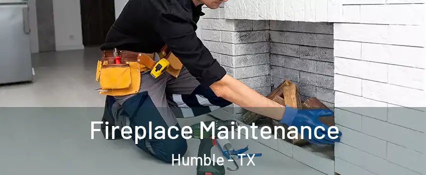  Fireplace Maintenance Humble - TX
