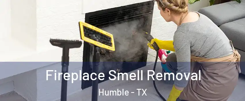  Fireplace Smell Removal Humble - TX