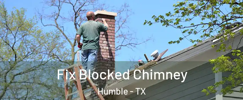  Fix Blocked Chimney Humble - TX