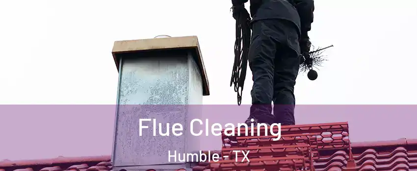  Flue Cleaning Humble - TX