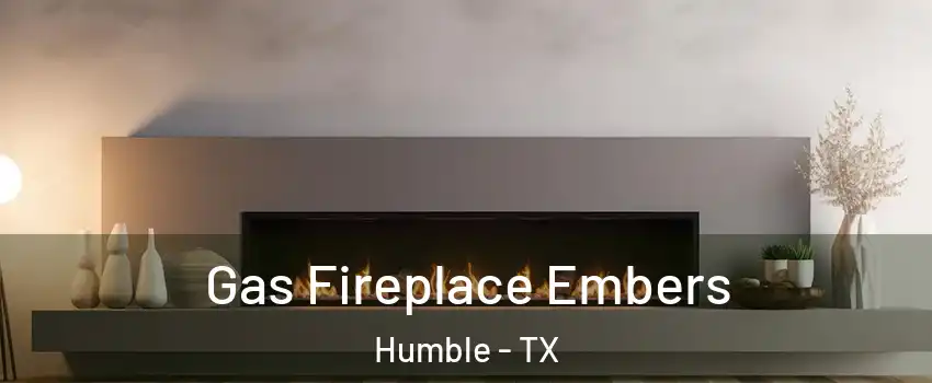  Gas Fireplace Embers Humble - TX