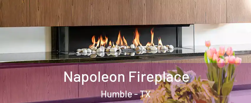  Napoleon Fireplace Humble - TX