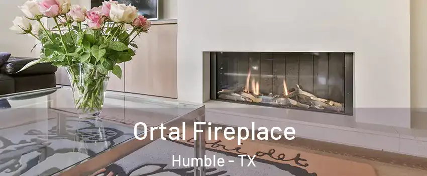  Ortal Fireplace Humble - TX
